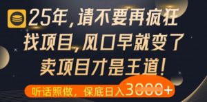 什么?25年你还在疯狂找项目做,醒醒吧,看完这些你全都懂了【揭秘】-大齐资源站