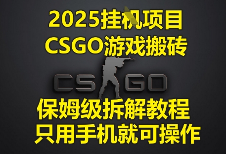 2025挂G项目，CSGO游戏搬砖，保姆级拆解教程，只用手机就可操作【揭秘】-大齐资源站