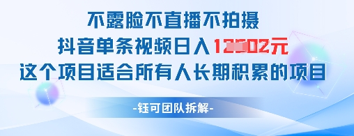 不露脸不直播不拍摄抖音单条视频日入1k+这个项目适合所有人长期积累的项目-大齐资源站