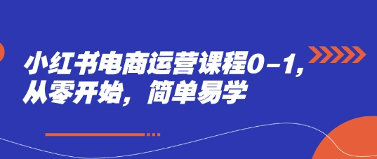 小红书电商运营课程0-1，从零开始，简单易学-大齐资源站
