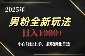 2025年男粉全新玩法，小白轻松上手，兼职副业首选，轻轻松松日入1k+-大齐资源站