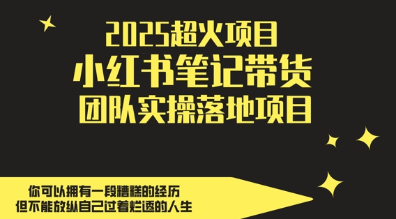 2025超火项目，副业最佳选择，小红书笔记带货团队实操落地项目，，轻松日入5张-大齐资源站