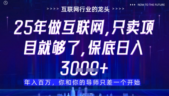 什么！25年你还在找项目做？风口早就变了，卖项目才是稳挣不赔【揭秘】-大齐资源站
