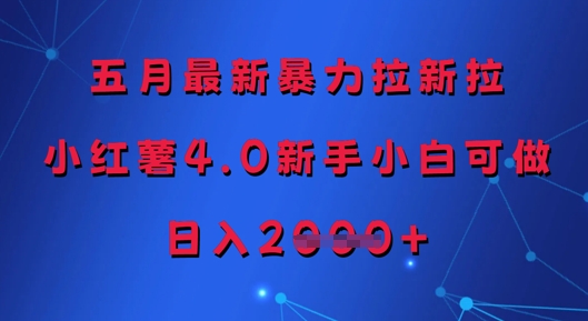 五月最新暴力拉新拉，小红薯4.0新手小白可做，日入多张-大齐资源站