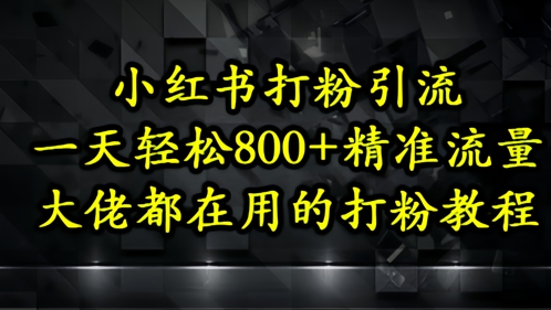 小红书打粉引流，一天轻松500+精准流量，大佬都在用的打粉教程-大齐资源站