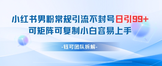 小红书男粉常规引流不封号日引99+变现简单 可矩阵可复制小白容易上手-大齐资源站