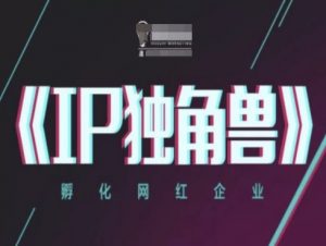 IP独角兽,孵化网红企业,ip教程-大齐资源站