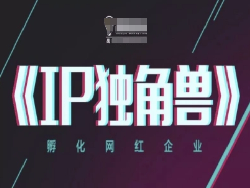 IP独角兽，孵化网红企业，ip教程-大齐资源站