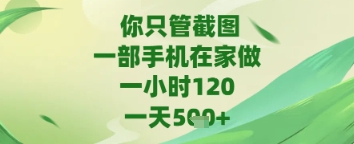 你只管截图，一部手机在家做，苹果安卓都可以，一天5张+【揭秘】-大齐资源站
