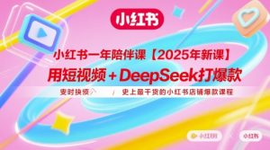 小红书一年陪伴课【2025年新课】，用短视频+deepSeek打爆款，史上最干货的小红书店铺爆款课程-大齐资源站