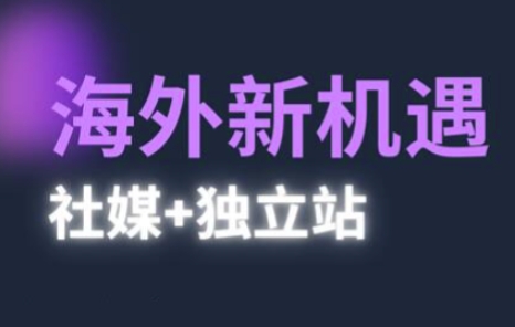 2025出海新机遇(社媒+独立站)，海外新机遇，实现独立站的高效运营与出海-大齐资源站