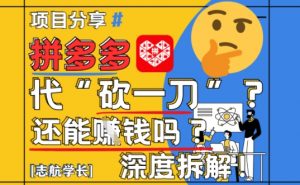 【2025最新】拼多多代坎助力项目深度拆解：还能挣钱吗?全流程玩法-大齐资源站