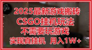 2025最新游戏搬砖，CSGO挂G，不需要玩游戏，实现真挂G，月入1W+【揭秘】-大齐资源站