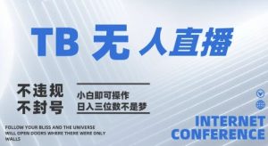 2025年淘宝无人直播带货10.0   全新技术，不违规，不封号，纯小白操作，日入几张【揭秘】-大齐资源站