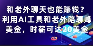 和老外聊天也能挣钱?利用AI工具和老外陪聊挣美金,时薪可达20刀-大齐资源站