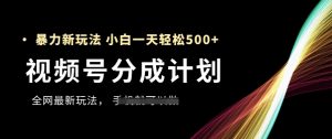 视频号分成计划,全网最暴力玩法,新手一天也能轻松5张+-大齐资源站