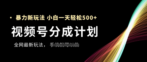 视频号分成计划，全网最暴力玩法，新手一天也能轻松5张+-大齐资源站
