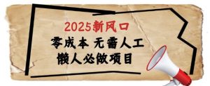 2025新风口，懒人必做项目，浏览器全自动掘金【揭秘】-大齐资源站