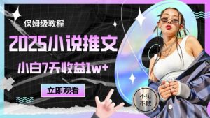 2025小说推文最新玩法，推文保姆级教程，小白7天收益1w+-大齐资源站