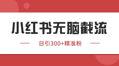 小红书只要你有同行就能获客，独家野路子获客玩法，暴力截流【揭秘】-大齐资源站
