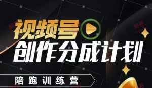 视频号创作分成计划陪跑训练营，手把手教会你如何制作视频，细水长流型项目-大齐资源站