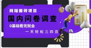 网创搬砖项目，国内问卷调查，0基础看完就会 一天轻松三四张，靠谱副业干就完了【揭秘】-大齐资源站