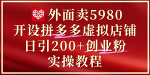 外面卖5980开设拼多多虚拟店铺:单日引流200+创业付费粉实战教程-大齐资源站
