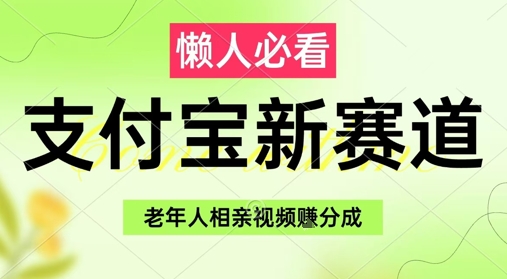 支付宝新赛道，利用老年人相亲视频，挣分成收益，轻松月入过W，操作简单-大齐资源站