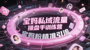 宝妈私域流量操盘手训练营，宝妈粉精准引流-大齐资源站