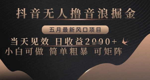 抖音无人撸音浪掘金，五月最新风口项目，当天见效，日收益多张，小白可做简单粗暴可矩阵【揭秘】-大齐资源站