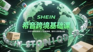 希音跨境基础课，SHEIN希音卖家入门实操指南，新手入坑希音必看-大齐资源站