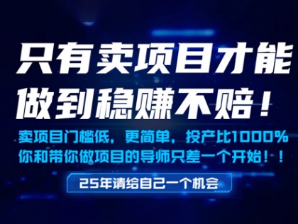 只有卖项目才能做到稳挣不赔，门槛低，更简单，你也可以年入百个W【揭秘】-大齐资源站