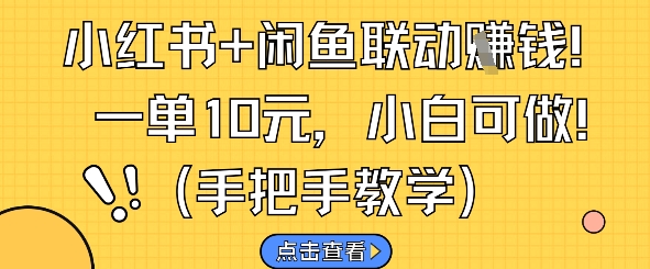 小红书+闲鱼联动挣钱，一单10元，小白可做-大齐资源站