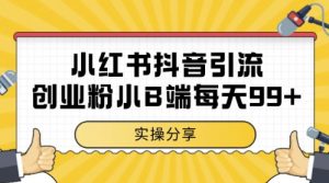 小红书抖音创业粉，小B端粉自热，日引99+的一个玩法【揭秘】-大齐资源站
