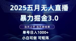 2025五月无人直播暴力掘金3.0，当天上手，当天拿结果，单号日入1k+小白可做可矩阵【揭秘】-大齐资源站