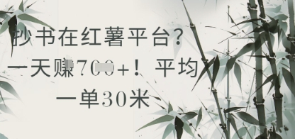 抄书在小红薯平台？平均一单30米，一天收益几张！-大齐资源站