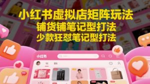 小红书虚拟店矩阵玩法,铺货铺笔记型打法,少款狂怼笔记型打法-大齐资源站