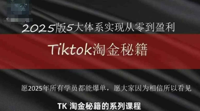 TikTok跨境2025淘金秘籍，​2025TikTok从0到盈利变现-大齐资源站