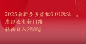 2025最新多多虚拟0.01玩法！虚拟也有新世界，轻松日入1k+-大齐资源站