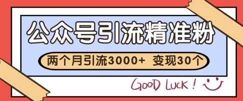 公众号精准粉引流玩法，2个月3000+精准粉，变现30个W【揭秘】-大齐资源站