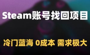 Steam账号找回项目,冷门蓝海,0成本,需求极大-大齐资源站