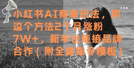 小红书AI商单玩法，用这个方法2个月涨粉7W+，新手也能接品牌合作(附全套指令模板)-大齐资源站