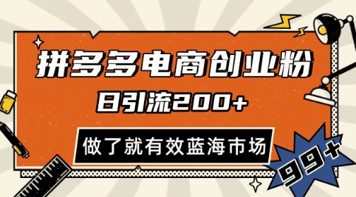 拼多多引流电商创业粉，日引200+，可矩阵放大，做了就有效【揭秘】-大齐资源站