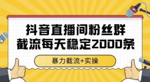 抖音直播间粉丝群暴力截流，一台电脑每天稳定2000条数据，暴力截流+实操 【揭秘】-大齐资源站