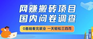 网创搬砖项目，国内问卷调查，小白轻松上手，一天三四张的也不难，干就完了【揭秘】-大齐资源站