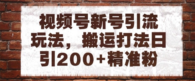 视频号新号引流玩法，搬运打法日引200+精准粉，可矩阵放大【揭秘】-大齐资源站