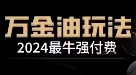 2024最牛强付费，万金油强付费玩法，干货满满，全程实操起飞（更新25年04月）-大齐资源站