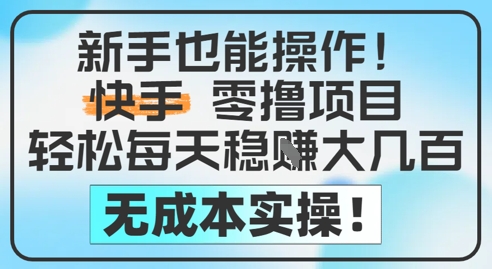 新手也能操作，快手零撸挣米，轻松每天挣2-5张，完全无成本-大齐资源站