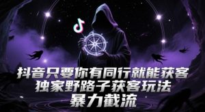 抖音只要你有同行就能获客，独家野路子获客玩法，暴力截流【揭秘】-大齐资源站