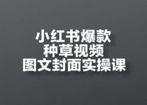 小红书爆款种草视频图文封面实操课,开店、选品、引流、变现全流程-大齐资源站